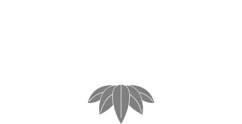 ギャラリー GALLERY